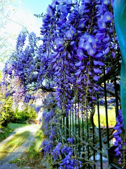 La Torretta Bed & Breakfast Torriglia 外观 照片